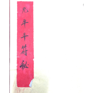 九牛斗教《九牛斗符秘》41页