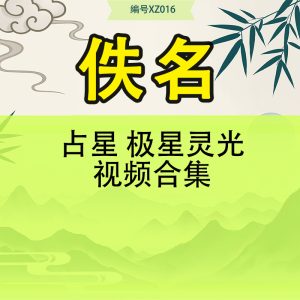 占星 极星灵光视频合集