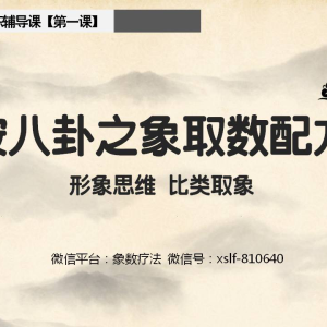 吴广儒《象数疗法》一期二期三期