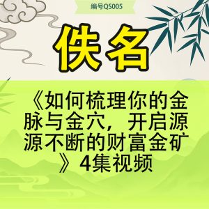 《如何梳理你的金脉与金穴，开启源源不断的财富金矿》4集视频