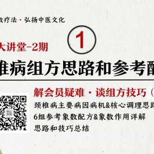 吴广儒象数疗法中高级+象数大课堂2期  答疑 音频+讲义