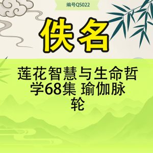 莲花智慧与生命哲学68集 瑜伽脉轮