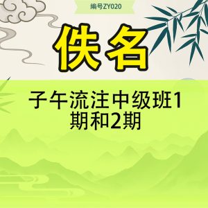 子午流注中级班1期和2期