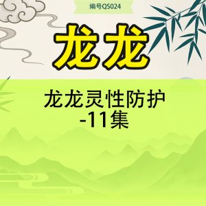 龙龙灵性防护-11集
