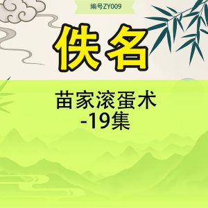 苗家滚蛋术-19集