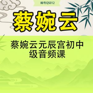 蔡婉云元辰宫初中级音频课