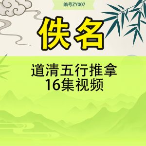 道清五行推拿16集视频