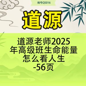 道源老师2025年高级班生命能量怎么看人生-56页
