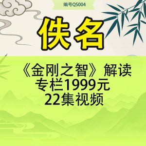 《金刚之智》解读专栏1999元 22集视频