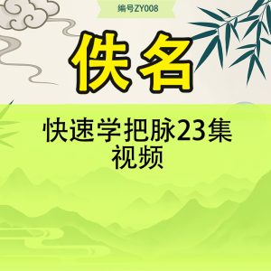 快速学把脉23集视频