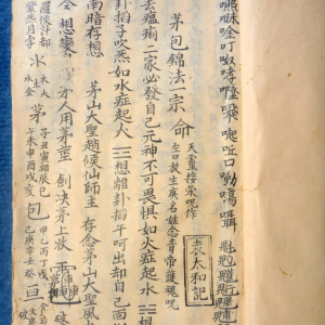 三田金花梅花和合大法