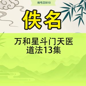万和星斗门天医道法13集
