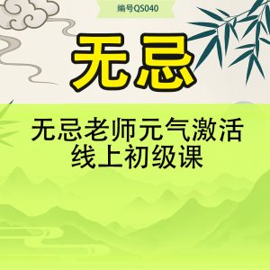 无忌老师元气激活线上初级课