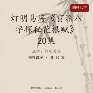 灯明易海《盲派八字探秘花根赋》20集