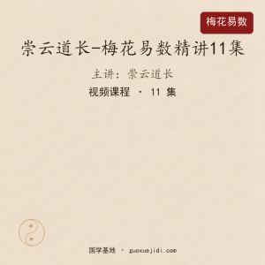 崇云道长-梅花易数精讲11集