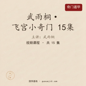 武雨桐飞宫小奇门15集
