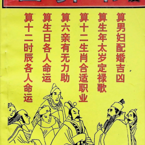 百算书秘笈-216页