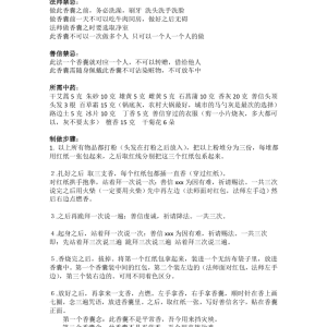 避难锦囊2页