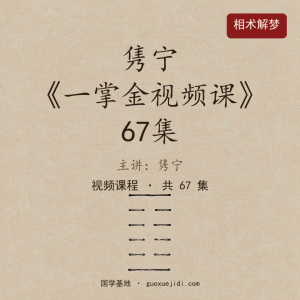 隽宁《一掌金视频课》67集
