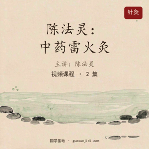 陈法灵：中药雷火灸