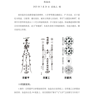 陈春林  2025年普庵法教解灾延寿秘术电子版