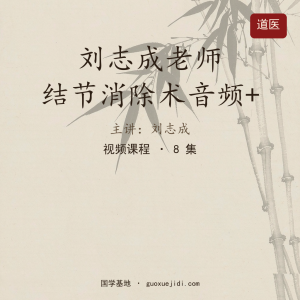 刘志成老师 结节消除术音频+视频课