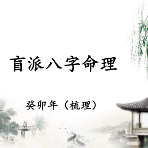 催老师催文举崔老师盲派八字笔记（5000元）