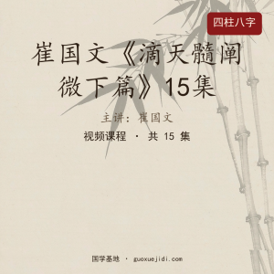 崔国文《滴天髓阐微下篇》15集