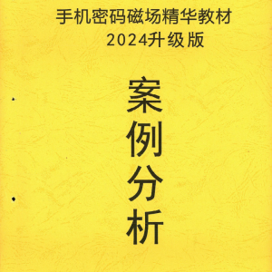 数字能量 2024手机密码磁场 案例分析PDF文档