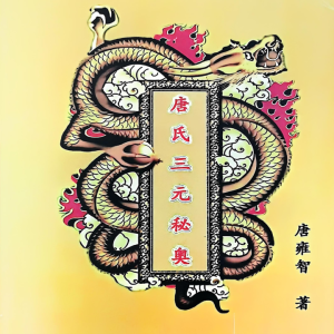 相形地理大脉图《唐氏三元秘奥》唐雍智-704页