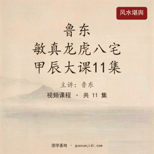 鲁东 敏真龙虎八宅甲辰大课11集