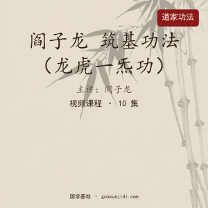 阎子龙 筑基功法（龙虎一炁功）