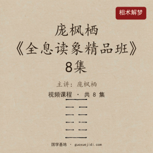 《庞枫栖老师全息读象精品班》8集