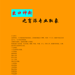 盲派出口神断之盲派专业取象-66页