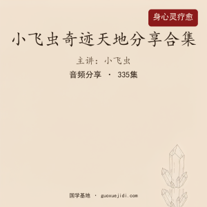2025小飞虫奇迹天地分享合集-【335节】