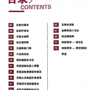 道通真机秘法-78页
