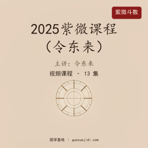 2025紫微课程（令东来）13