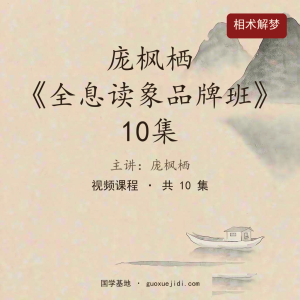 《庞枫栖全息读象品牌班》10集