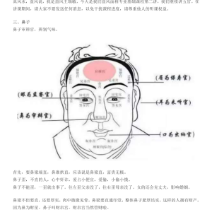 许联斌五官4个pdf