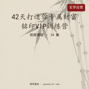 42天打造你专属财富 铭印VIP训练营