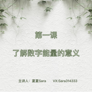 秘灵空间Sara数字能量全阶课程
