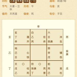 熊飞【128个阴盘奇门遁甲“预测+化解”案例集】