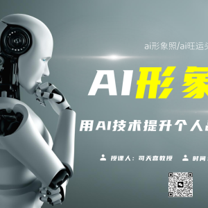 司天喜 ai旺运头像实战班 视频+文档