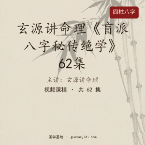 玄源讲命理《盲派八字秘传绝学》62集