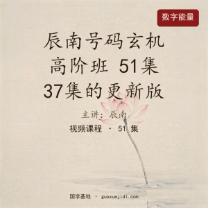 辰南号码玄机 高阶班 51集   37集的更新版