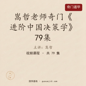 嵩哲老师奇门《进阶中国决策学》79集