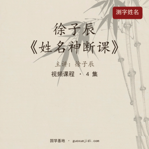 徐子辰《姓名神断课》—