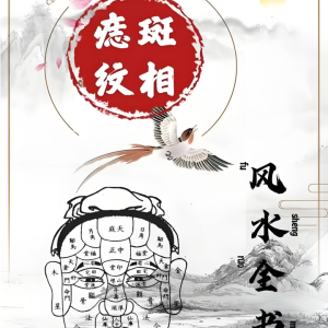 秘传《痣斑纹相风水全书》510页(1)