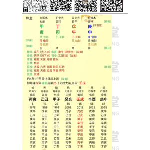 夏光明师《夏氏祖传不泄天机系列-真传杨公风水》深解系列之九门详解八字