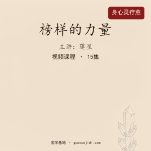 莲星 榜样的力量15集